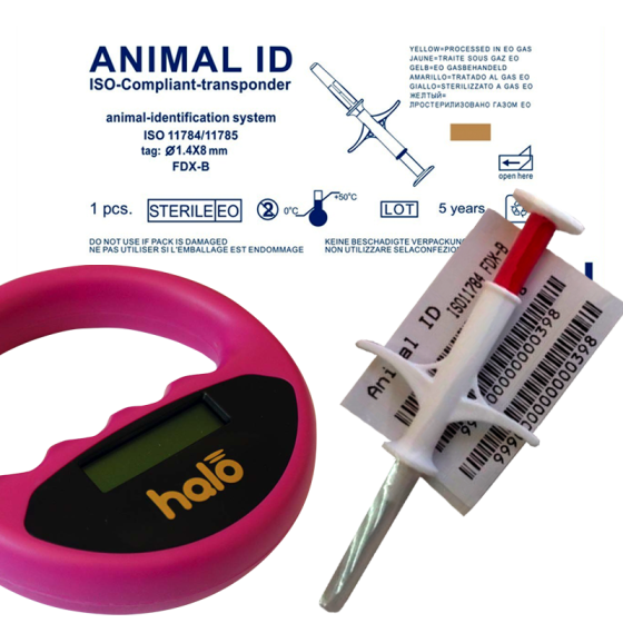 fofiachipspromo-900x9002